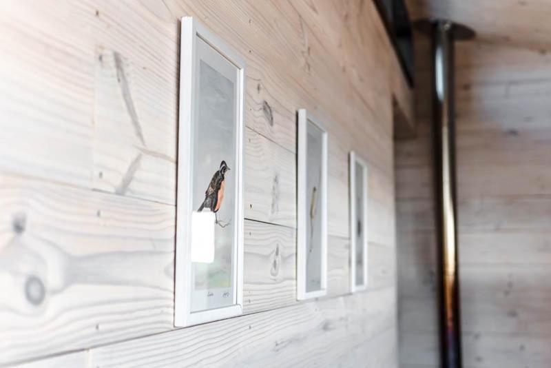 Cabanas Grulla Pichilemu Exterior foto